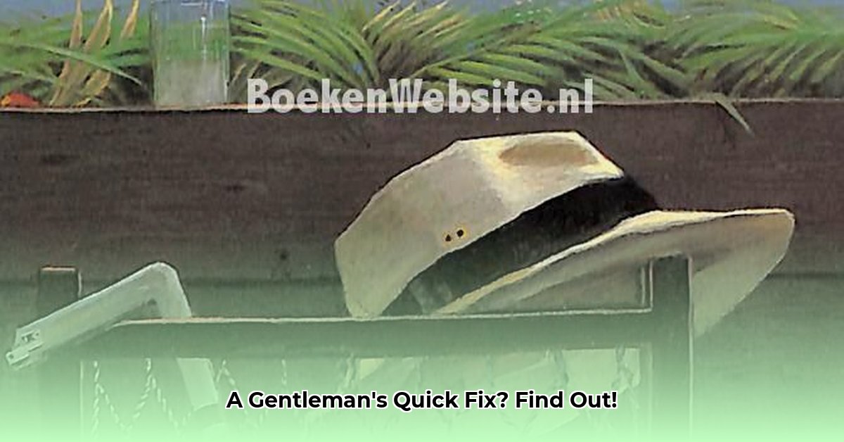 bouwwerk-dat-de-bestemming-van-een-gentleman-is